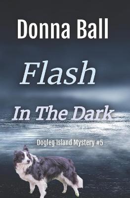 Book cover for Flash in the Dark