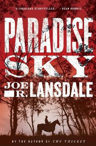 Cover of Paradise Sky