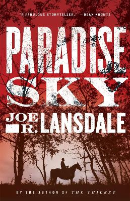 Book cover for Paradise Sky