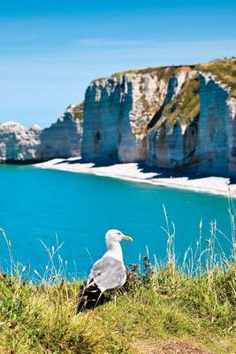 Book cover for Normandy Beach Cote D?albatre, France