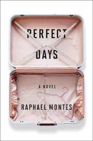 Cover of Perfect Days