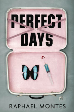 Cover of Perfect Days