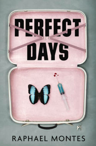 Perfect Days