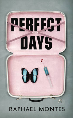 Book cover for Perfect Days