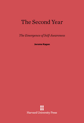 Book cover for The Second Year