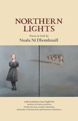 Book cover for Northern Lights