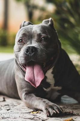 Book cover for Happy Pit Bull Dog