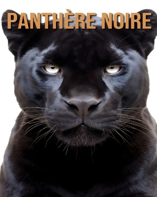 Book cover for Panth�re Noire