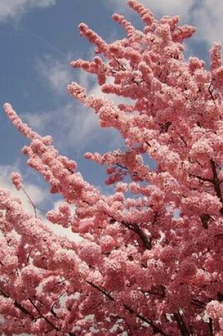 Cover of Huge Pink Cherry Blossoms, for the Love of Flowers