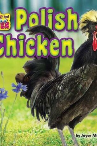 Cover of Polish Chicken