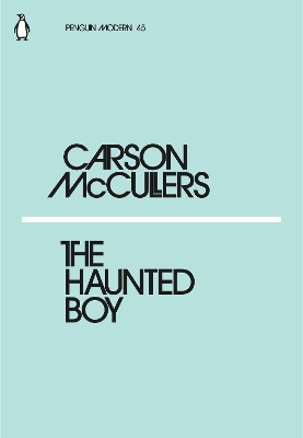 Book cover for The Haunted Boy
