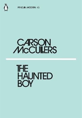 Cover of The Haunted Boy