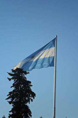 Book cover for The Flag of Argentina Blowing in the Wind