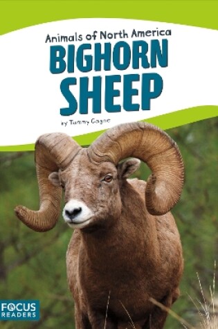 Cover of Animals of North America: Bighorn Sheep