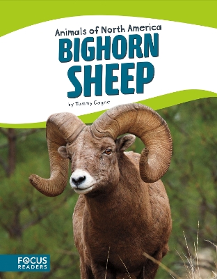 Book cover for Bighorn Sheep