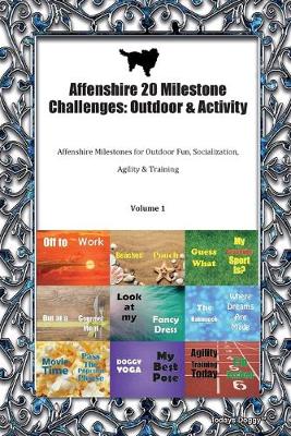 Book cover for Affenshire 20 Milestone Challenges