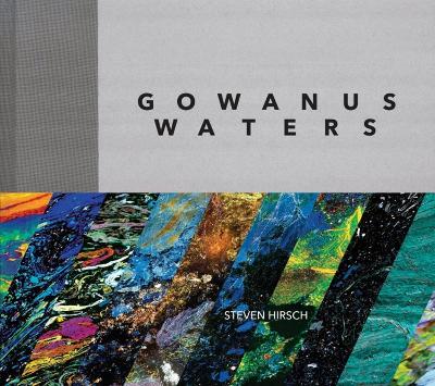 Book cover for Gowanus Waters