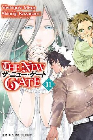 Cover of The New Gate Volume 11