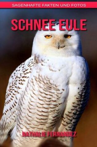 Cover of Schnee Eule