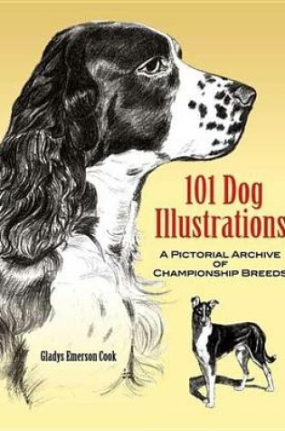 Cover of 101 Dog Illustrations: A Pictorial Archive of Championship Breeds