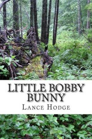 Cover of Little Bobby Bunny