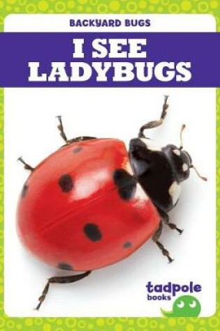 Cover of I See Ladybugs