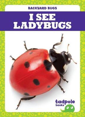 Cover of I See Ladybugs