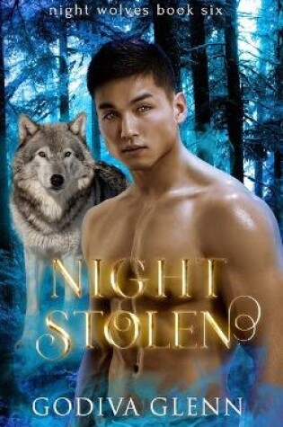 Cover of Night Stolen