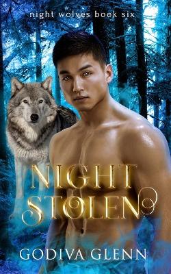 Book cover for Night Stolen