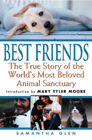 Book cover for Best Friends