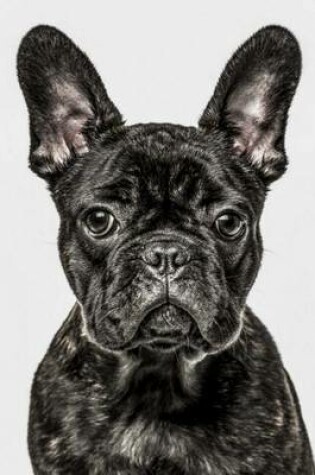 Cover of French Bulldog