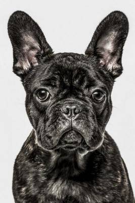 Cover of French Bulldog