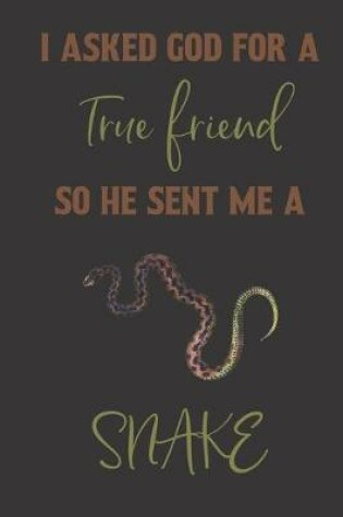 Cover of I asked god for a true friend so he sent me a snake