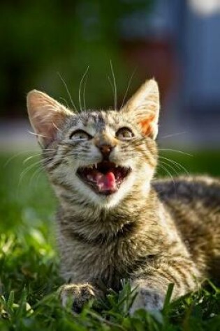 Cover of Laughing Tabby Kitten Pet Journal