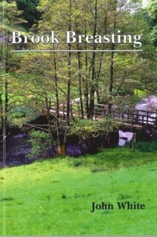 Cover of Brook Breasting