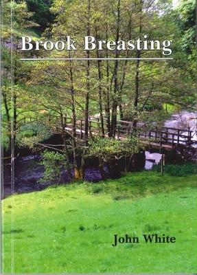 Book cover for Brook Breasting