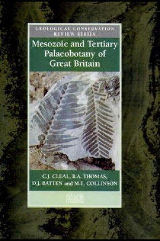 Cover of Mesozoic and Tertiary Palaeobotany of Great Britain