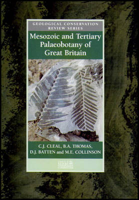 Book cover for Mesozoic and Tertiary Palaeobotany of Great Britain