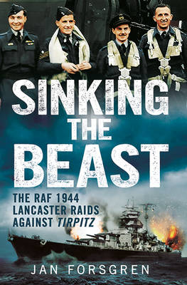 Book cover for Sinking the Beast