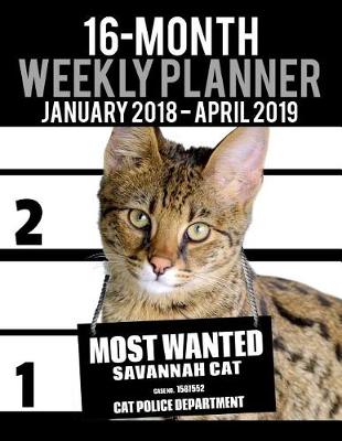 Cover of 2018-2019 Weekly Planner - Most Wanted Savannah Cat