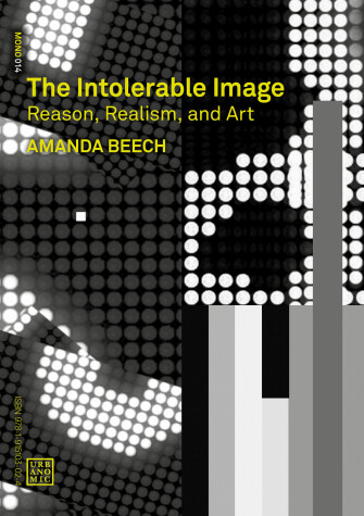 Book cover for The Intolerable Image