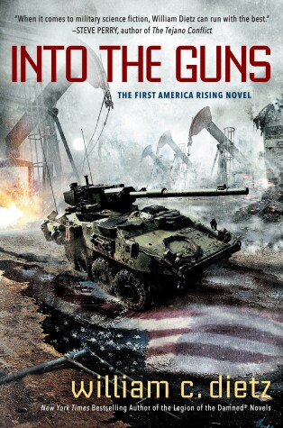 Book cover for Into The Guns