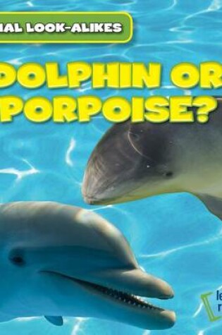 Cover of Dolphin or Porpoise?