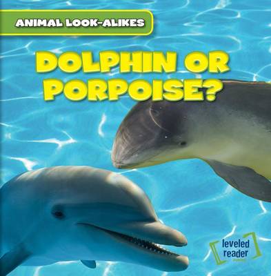 Book cover for Dolphin or Porpoise?