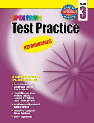 Book cover for Test Practice, Grade 3