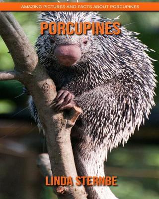 Book cover for Porcupines