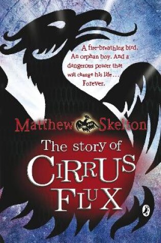 Cover of The Story of Cirrus Flux
