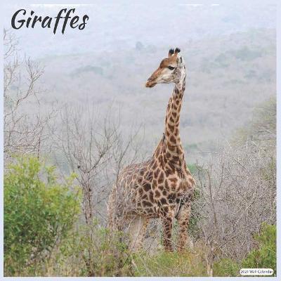 Book cover for Giraffes 2021 Wall Calendar