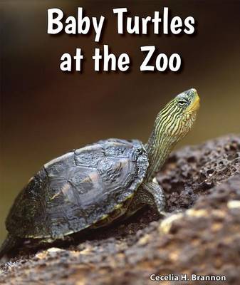Book cover for Baby Turtles at the Zoo