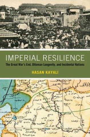 Cover of Imperial Resilience